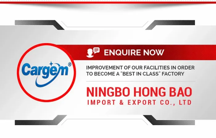 Cargem ISO9001 Approved Competitive Price 52′′ Extender Squeegee with Sponge