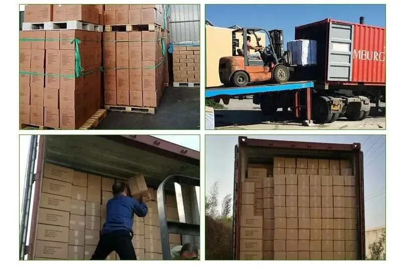 Easy Tie Handles Carry Doggy Litter Poop Bag Dispenser Pets Products for Dogs