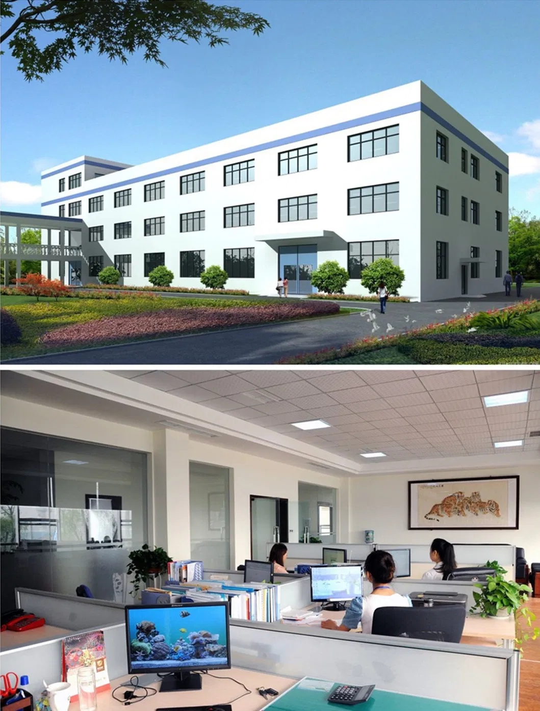 Export Manufacturer of Easily Eash Hand Free Mop for Cleaning Floor