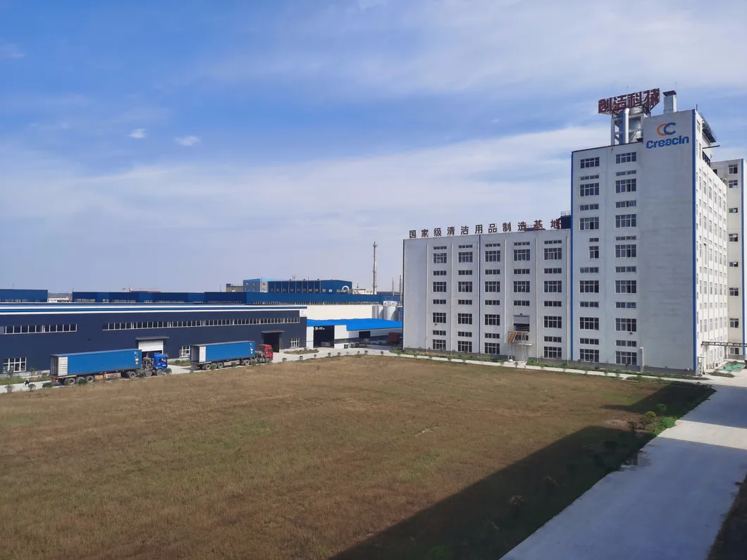 Factory Offering Safety Nice Detergency Dishwashing Liquid Detergent