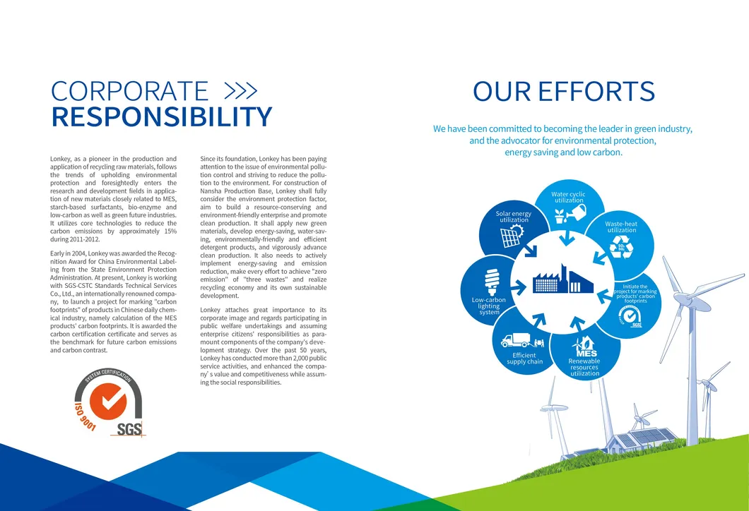 Laundry Detergent Capsules