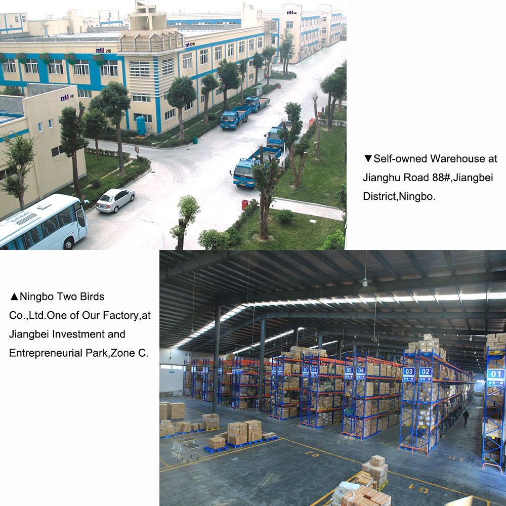 Long Handle Carpet Rake Floor Brush Pet Hair Squeegee Broom