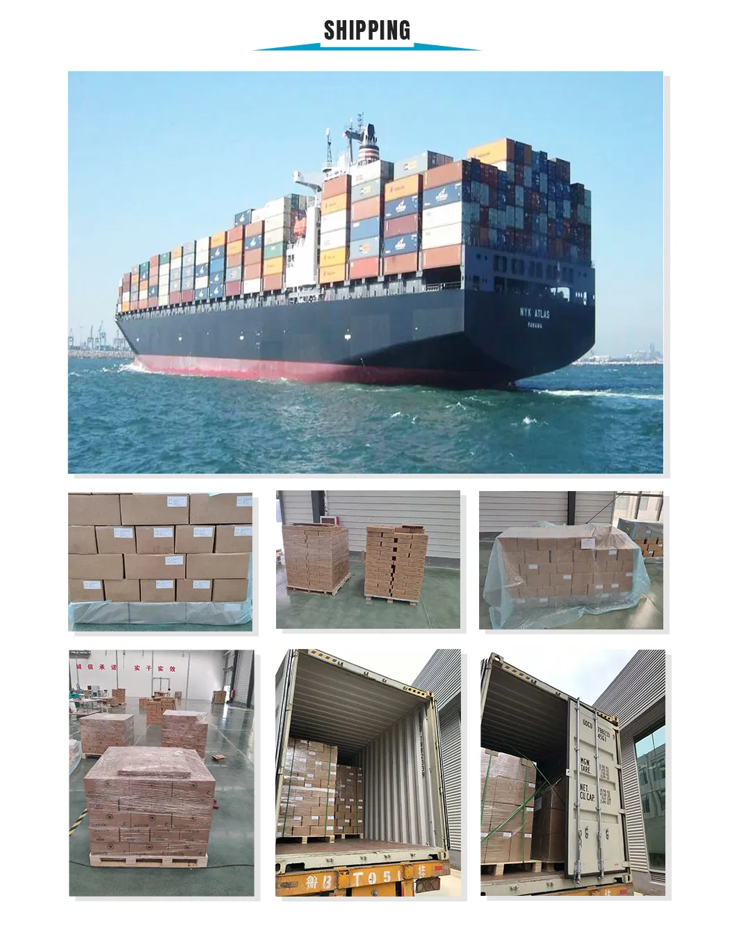 Manufacturer Custom Biodegradable Garbage Bags, Compostable Trash Bags