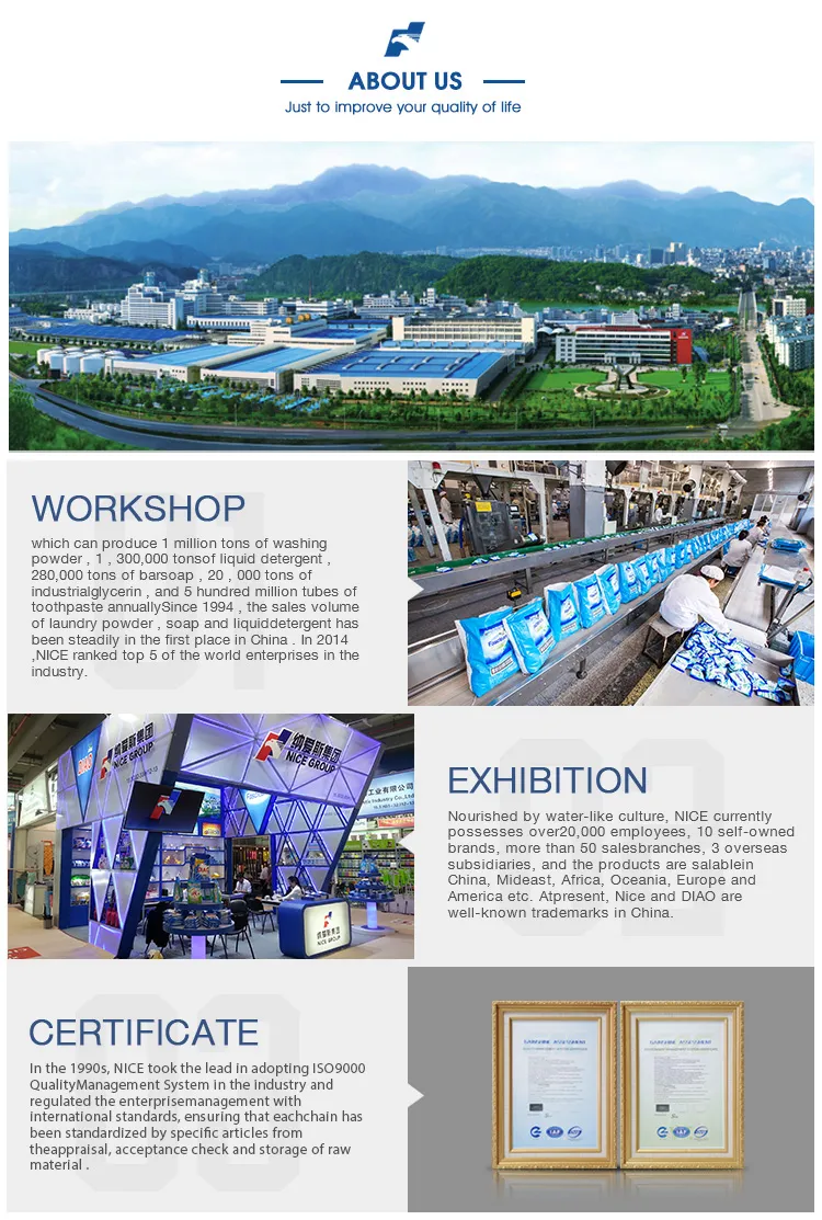 Rich Foam Perfumed Laundry Detergent Powder